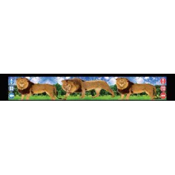 Брызговик 35х240см (Лев) 