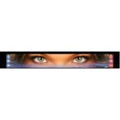 Брызговик Глаза 350х2400 мм 