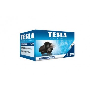 Автомобильные лампы B77202 